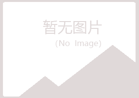 中山区盼夏制造有限公司